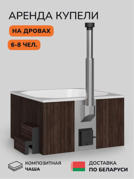 Аренда купели с подогревом на дровах Scandinaf Thermal 200, 6-8 чел.