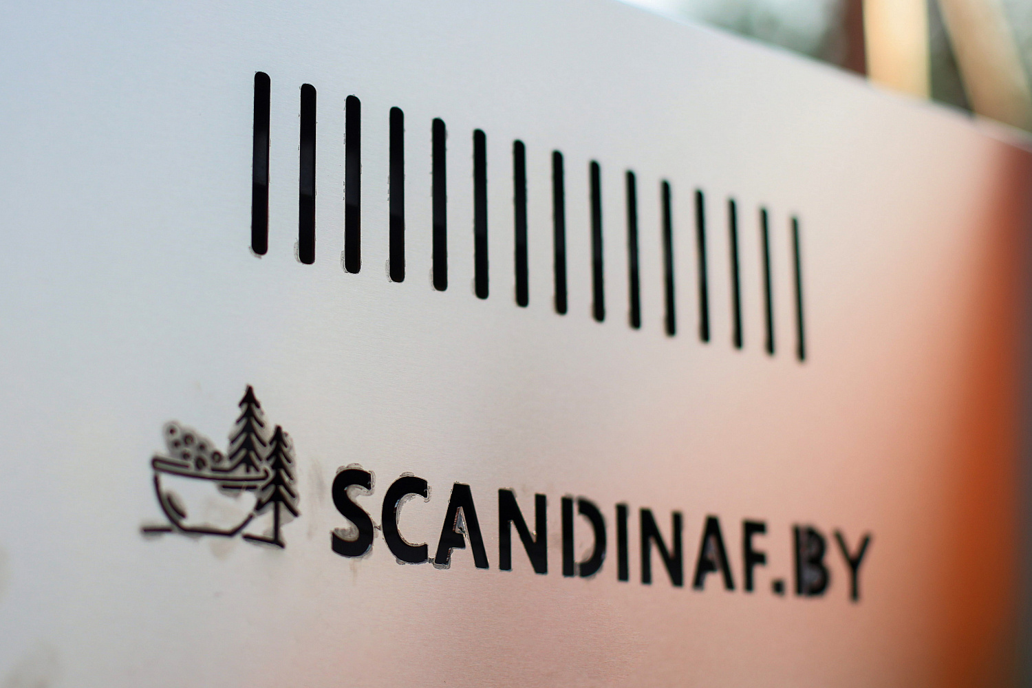 Участие в фестивале Лазня 2025